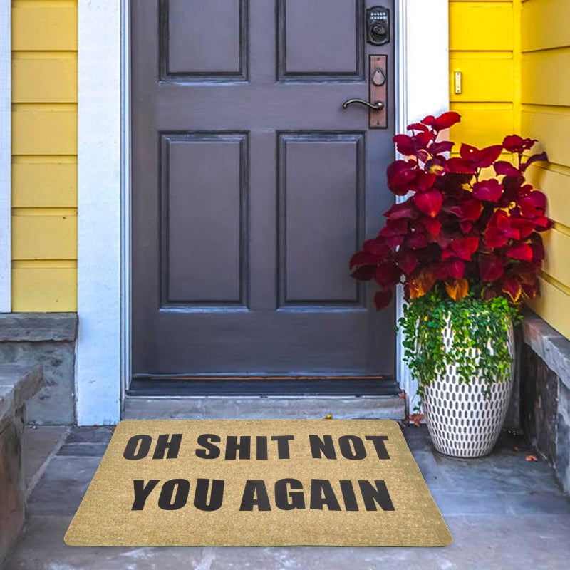 ChezMax Doormat Non-Slip Door Mat Waterproof Funny Rugs Indoor Outdoor Carpet Universal Welcome Mat Front Door Mud Absorbent for Floor Entrance Entryway - Image 5